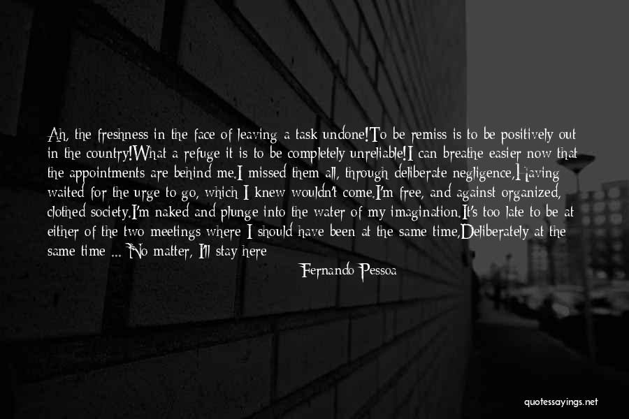 Behind My Face Quotes By Fernando Pessoa