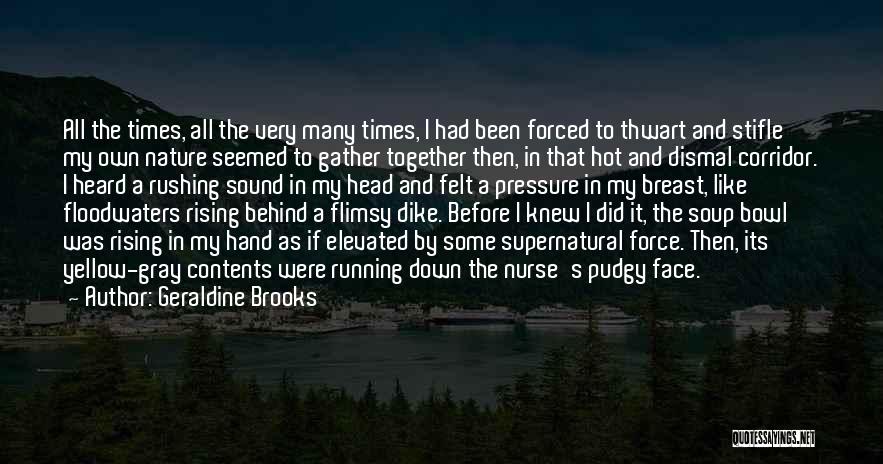 Behind My Face Quotes By Geraldine Brooks