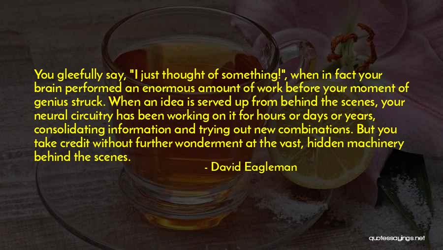 Behind Scenes Quotes By David Eagleman