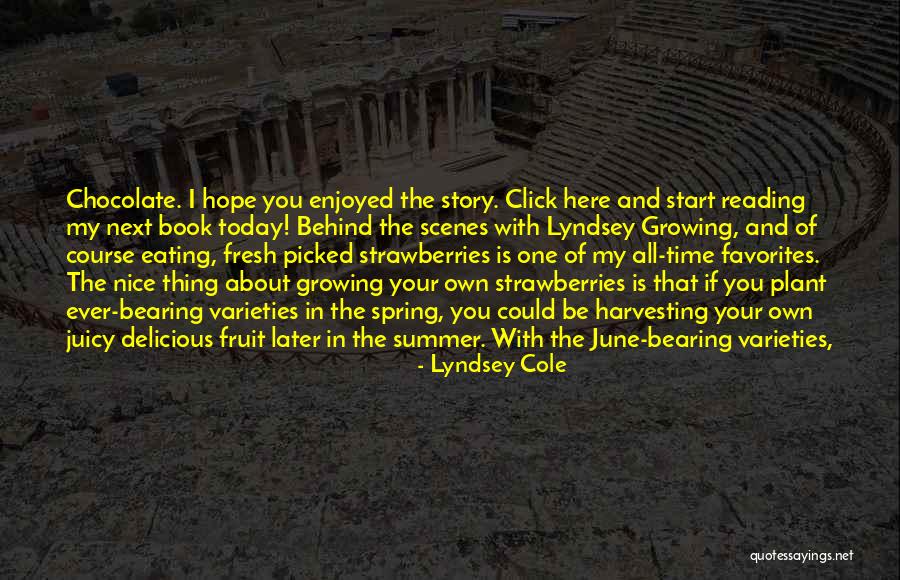 Behind Scenes Quotes By Lyndsey Cole