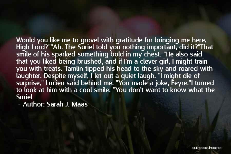 Behind That Smile Quotes By Sarah J. Maas