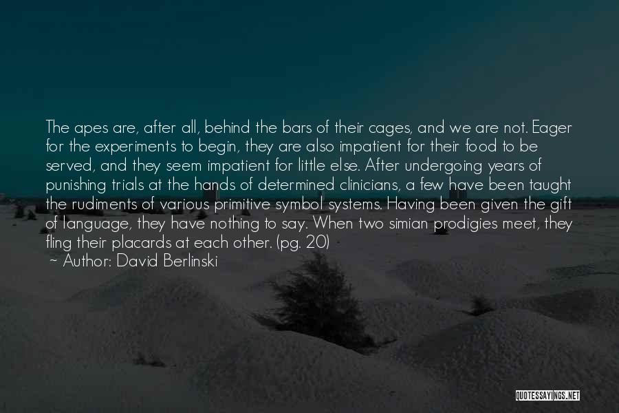 Behind The Bars Quotes By David Berlinski