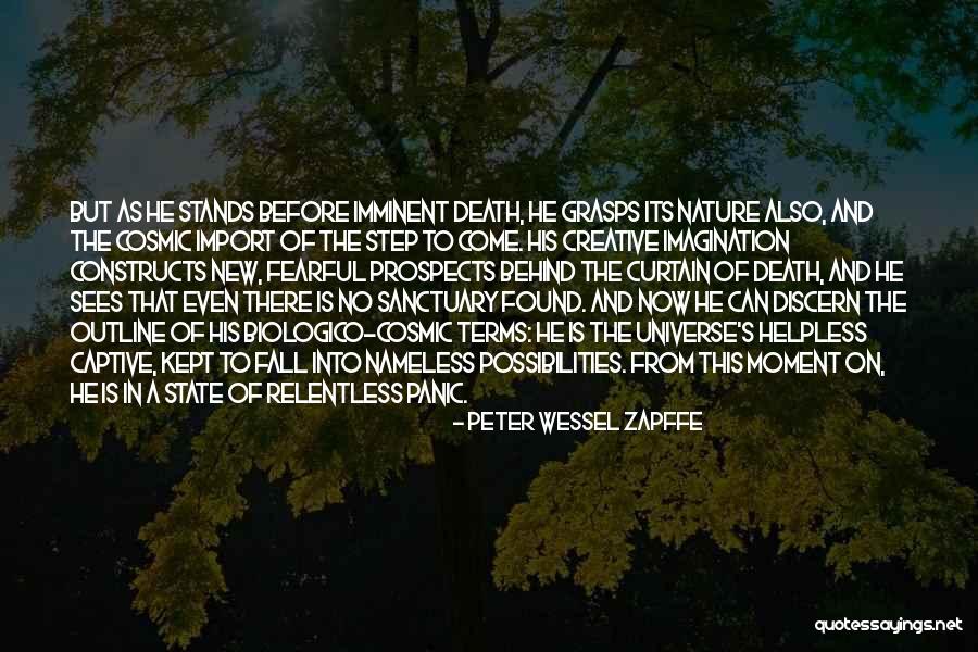 Behind The Curtain Quotes By Peter Wessel Zapffe Behind The Curtain Quotes By Peter Wessel Zapffe