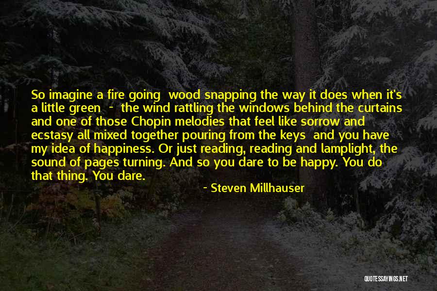 Behind The Curtains Quotes By Steven Millhauser Behind The Curtains Quotes By Steven Millhauser