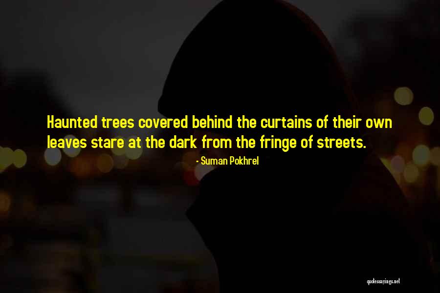 Behind The Curtains Quotes By Suman Pokhrel Behind The Curtains Quotes By Suman Pokhrel