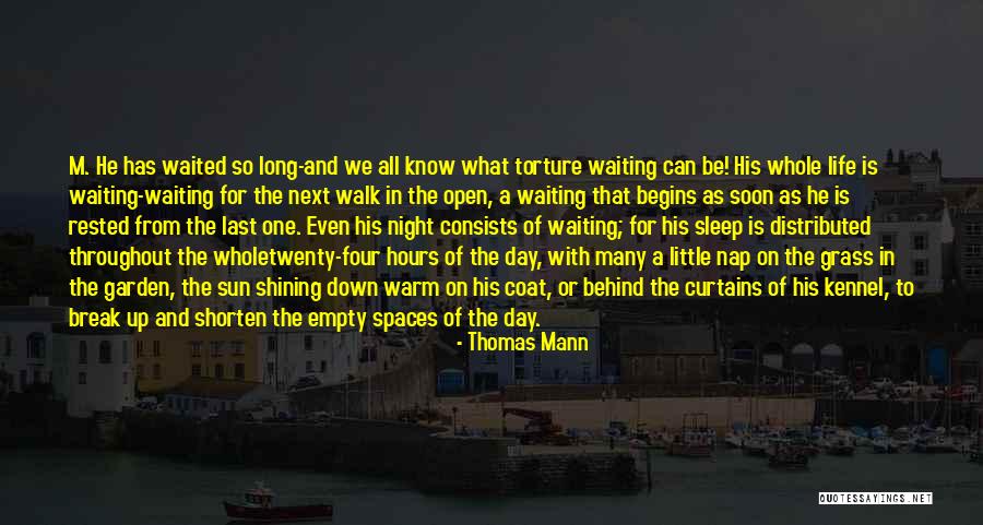 Behind The Curtains Quotes By Thomas Mann Behind The Curtains Quotes By Thomas Mann