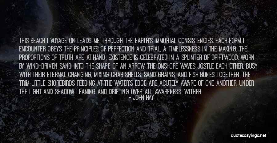 Behind The Eyes Quotes By John Hay Behind The Eyes Quotes By John Hay