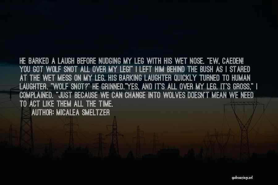 Behind The Laughter Quotes By Micalea Smeltzer