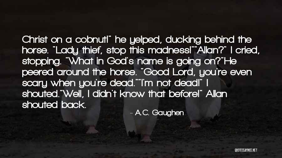 Behind The Name Quotes By A.C. Gaughen