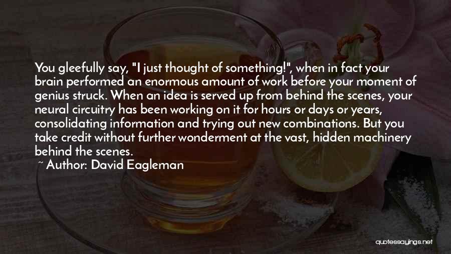 Behind The Scenes Quotes By David Eagleman