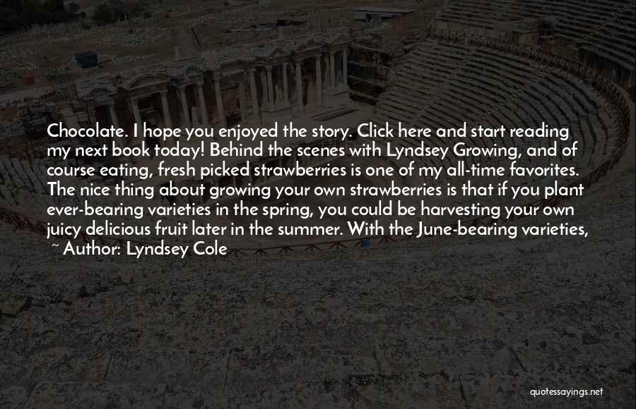 Behind The Scenes Quotes By Lyndsey Cole