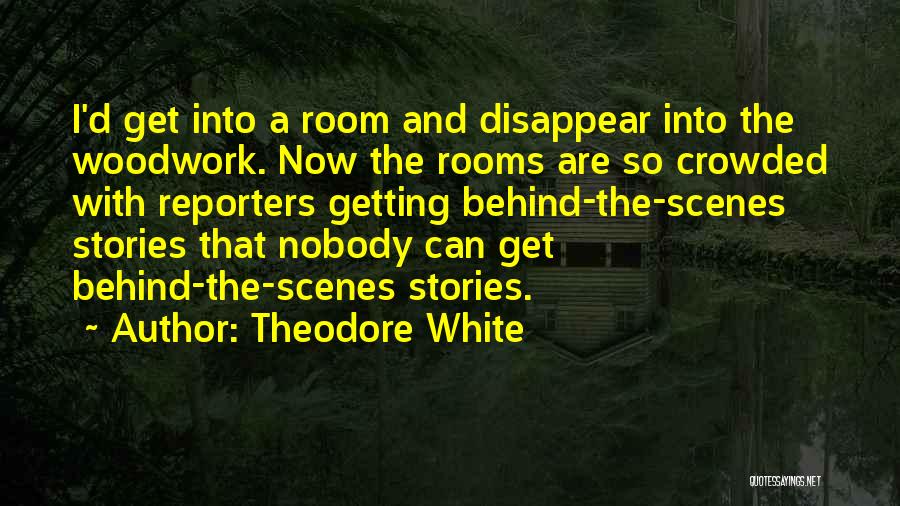 Behind The Scenes Quotes By Theodore White