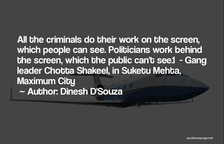 Behind The Screen Quotes By Dinesh D'Souza