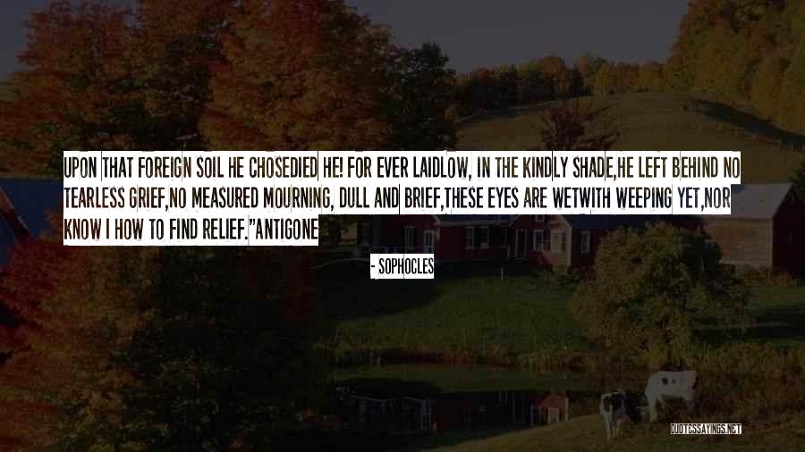 Behind These Eyes Quotes By Sophocles Behind These Eyes Quotes By Sophocles