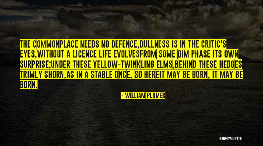 Behind These Eyes Quotes By William Plomer Behind These Eyes Quotes By William Plomer