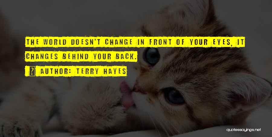 Behind Your Eyes Quotes By Terry Hayes