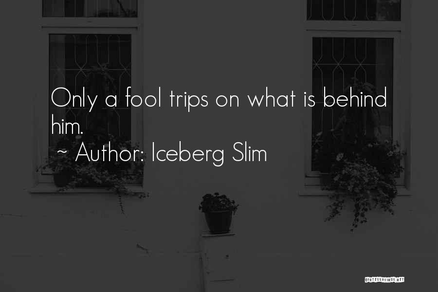 Behinds Quotes By Iceberg Slim