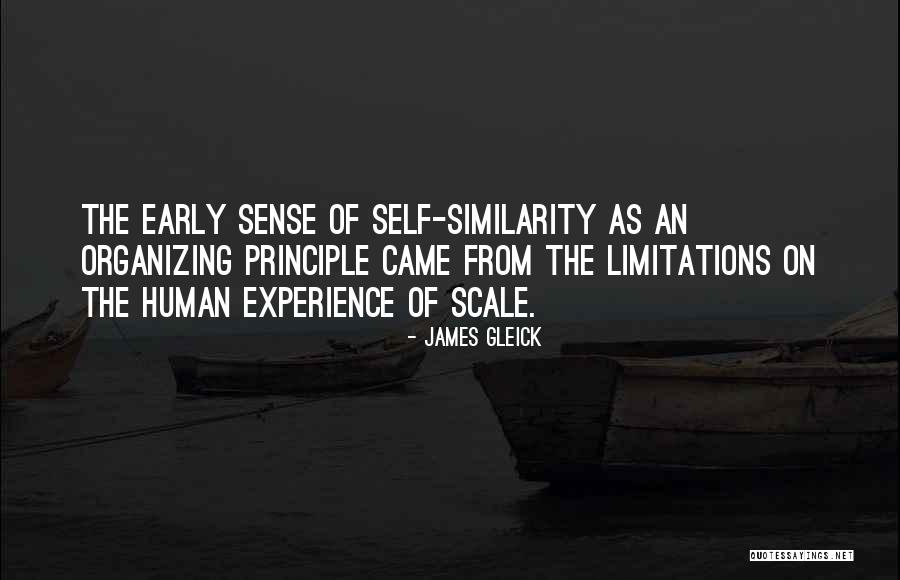 Behnan Irene Quotes By James Gleick Behnan Irene Quotes By James Gleick