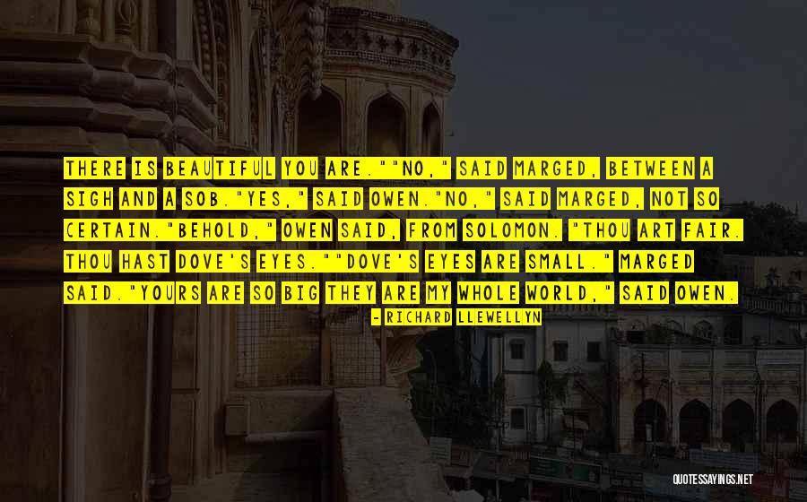 Behold Beauty Quotes By Richard Llewellyn Behold Beauty Quotes By Richard Llewellyn