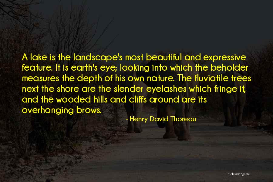 Beholder Quotes By Henry David Thoreau