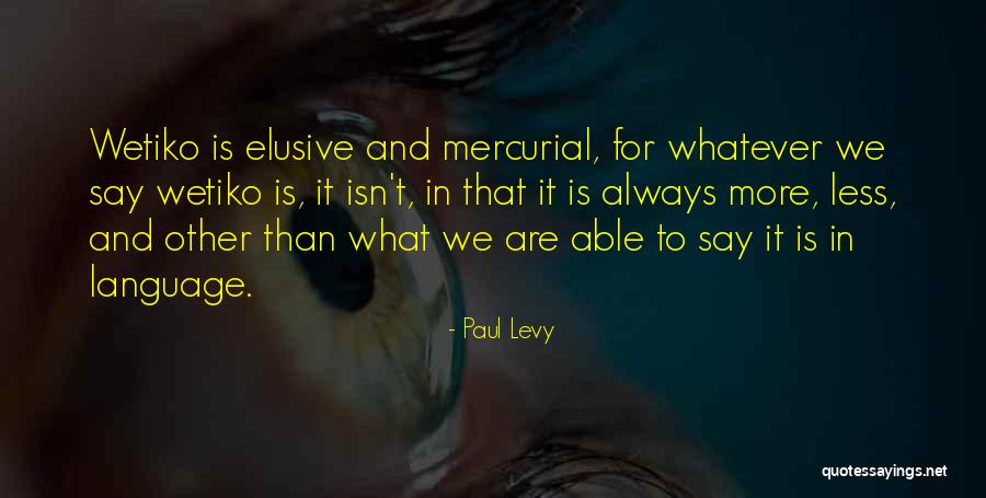Behramji Pilot Quotes By Paul Levy Behramji Pilot Quotes By Paul Levy