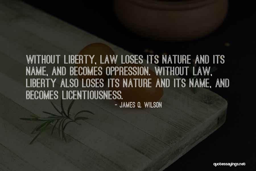 Behrooz Araz Quotes By James Q. Wilson Behrooz Araz Quotes By James Q. Wilson