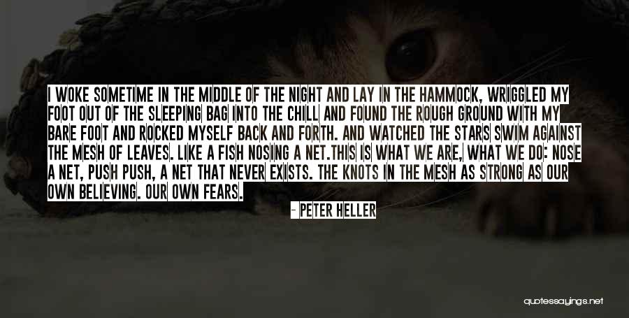 Behrooz Parastui Quotes By Peter Heller Behrooz Parastui Quotes By Peter Heller