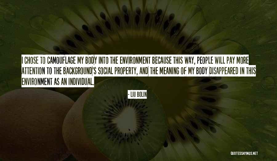 Behshad Lahijanian Quotes By Liu Bolin Behshad Lahijanian Quotes By Liu Bolin