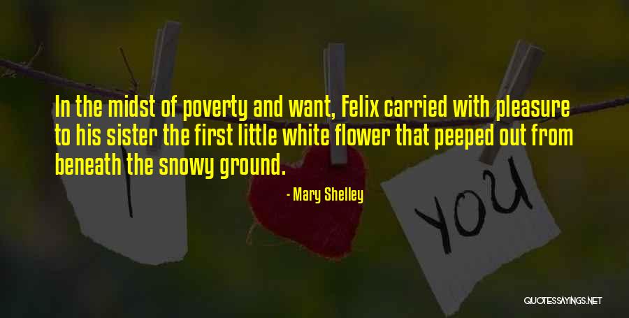 Beibringen German Quotes By Mary Shelley Beibringen German Quotes By Mary Shelley