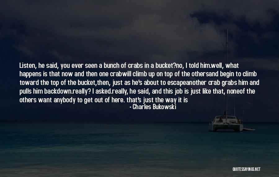 Beinecke Modellbau Quotes By Charles Bukowski Beinecke Modellbau Quotes By Charles Bukowski