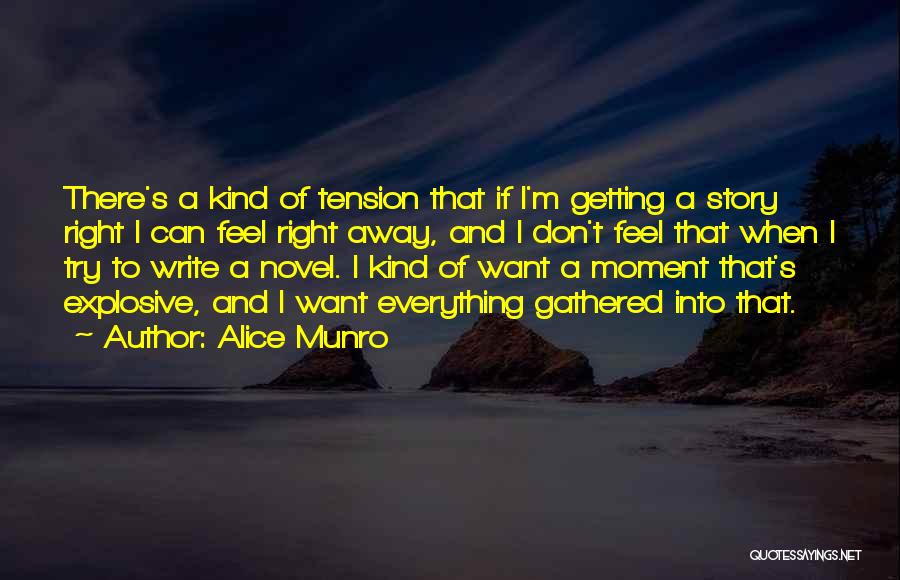 Beinfield Gun Quotes By Alice Munro