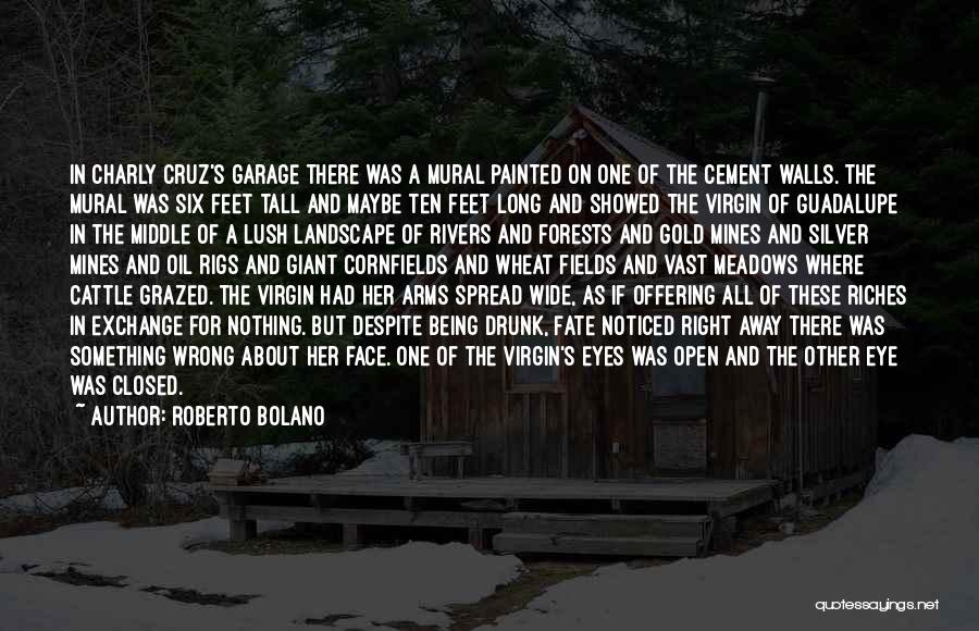 Being 5 Feet Tall Quotes By Roberto Bolano