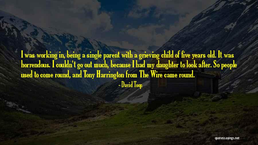 Being 6 Years Old Quotes By David Toop