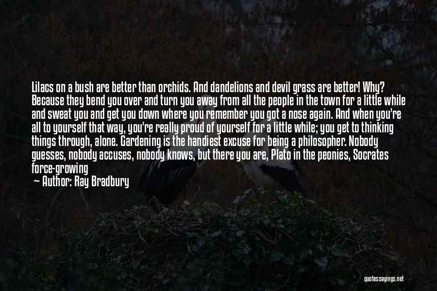 Being A Devil Quotes By Ray Bradbury