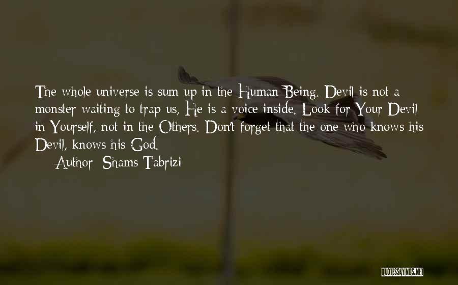 Being A Devil Quotes By Shams Tabrizi