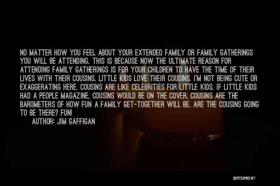 Being A Family No Matter What Quotes By Jim Gaffigan