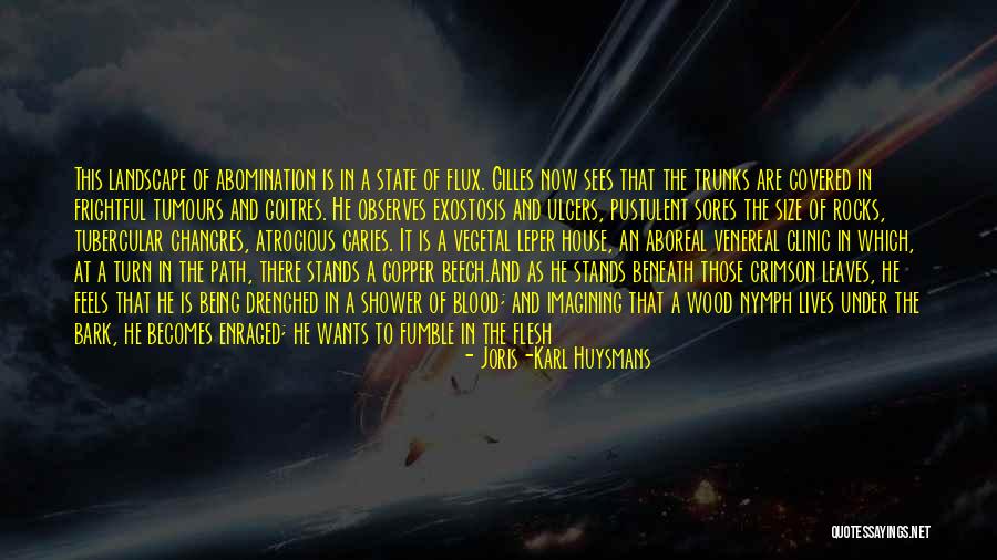 Being A Goddess Quotes By Joris-Karl Huysmans Being A Goddess Quotes By Joris-Karl Huysmans