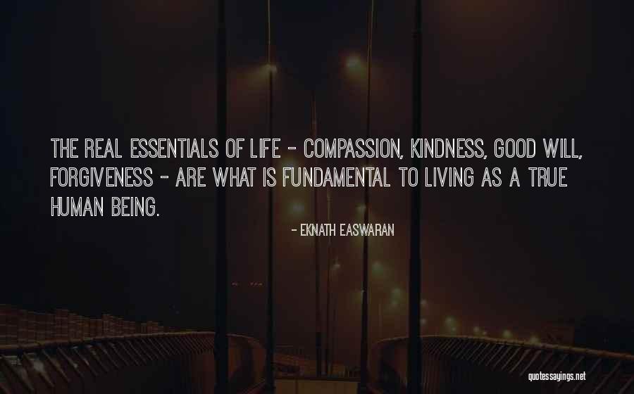 Being A Good Human Being Quotes By Eknath Easwaran