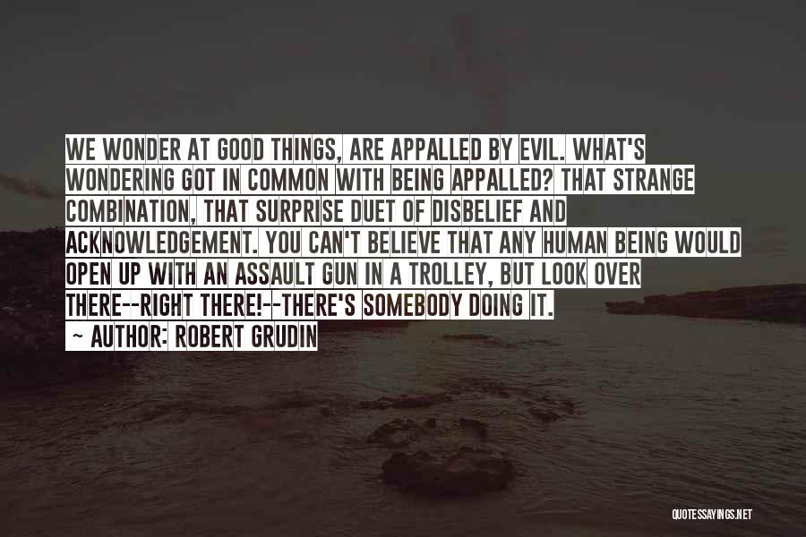 Being A Good Human Being Quotes By Robert Grudin