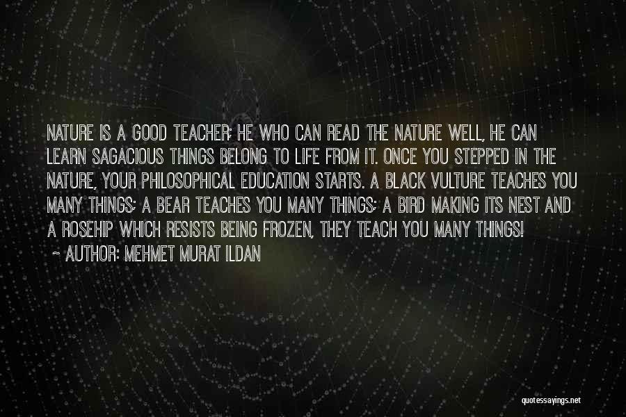 Being A Good Teacher Quotes By Mehmet Murat Ildan