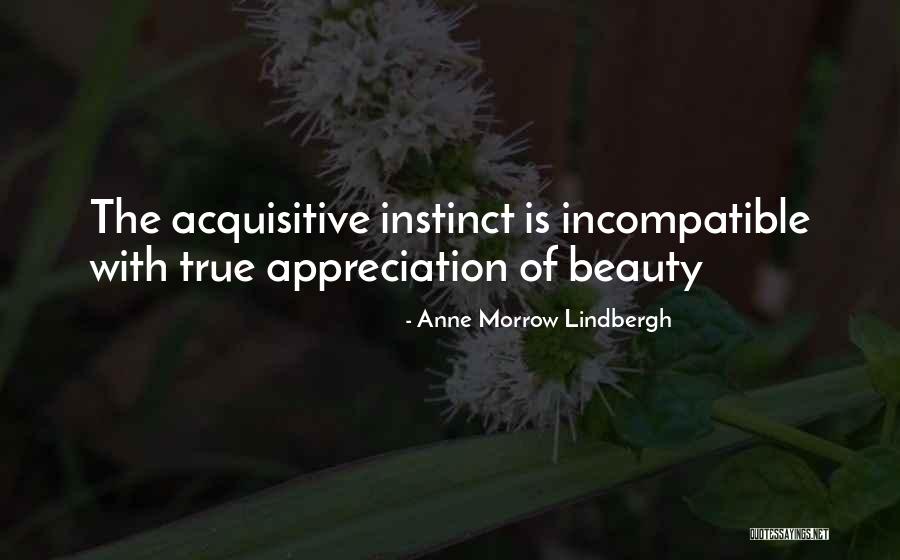 Being A Great Critical Thinker Quotes By Anne Morrow Lindbergh Being A Great Critical Thinker Quotes By Anne Morrow Lindbergh