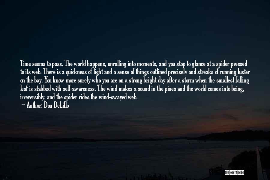 Being A Light In The World Quotes By Don DeLillo