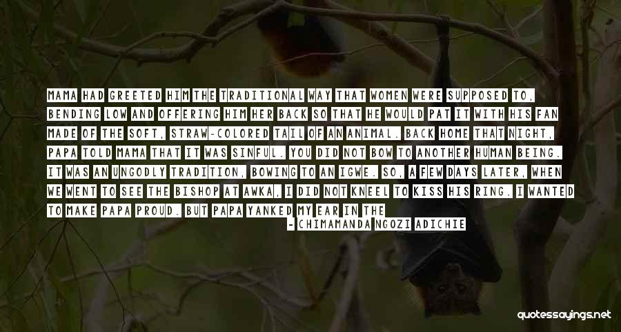 Being A Mama Quotes By Chimamanda Ngozi Adichie Being A Mama Quotes By Chimamanda Ngozi Adichie