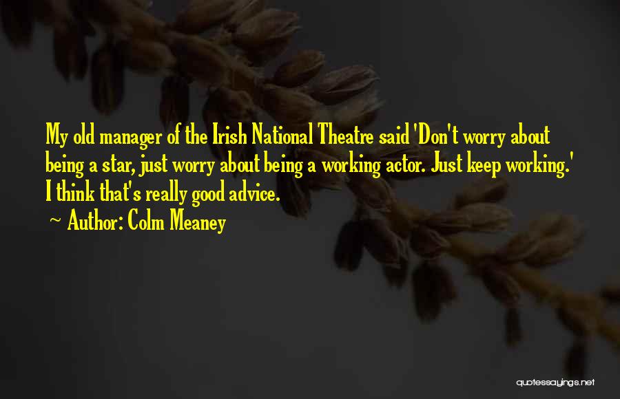 Being A Manager Quotes By Colm Meaney