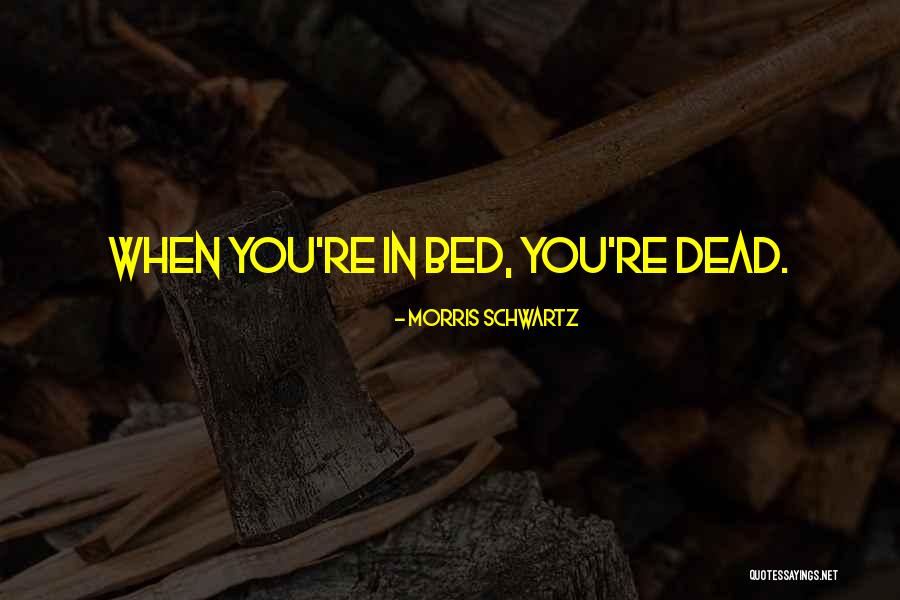 Being A Minimalist Quotes By Morris Schwartz Being A Minimalist Quotes By Morris Schwartz