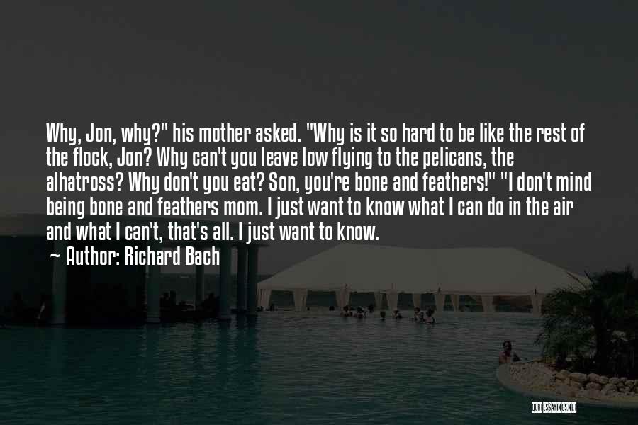 Being A Mom To A Son Quotes By Richard Bach