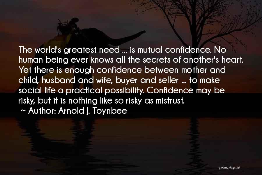 Being A Mother And Wife Quotes By Arnold J. Toynbee