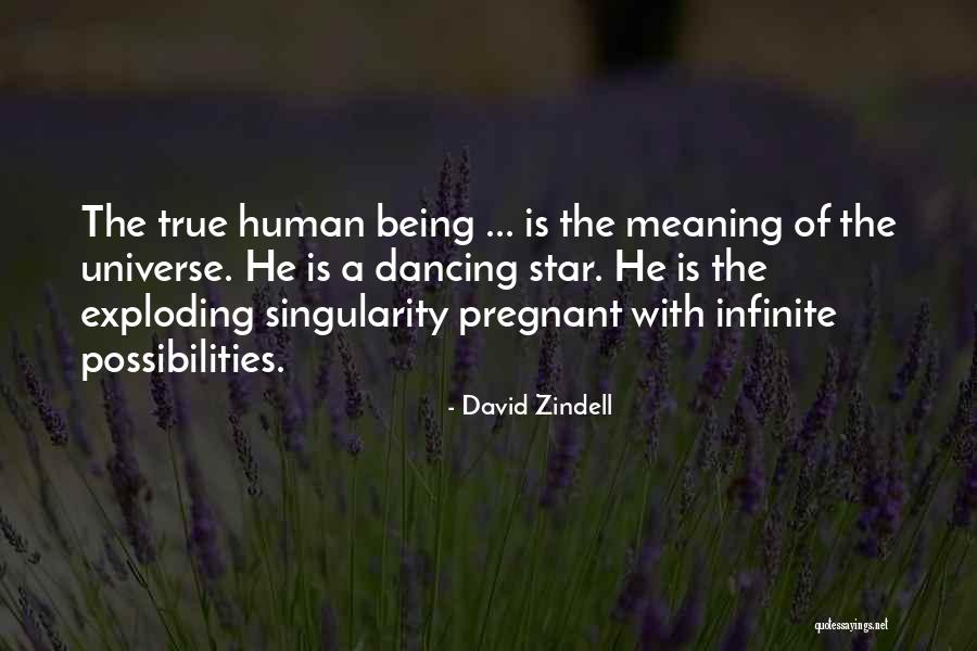 Being A Pregnant Quotes By David Zindell Being A Pregnant Quotes By David Zindell