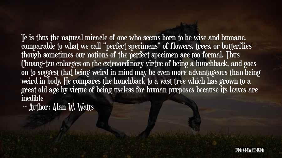Being A Quotes By Alan W. Watts