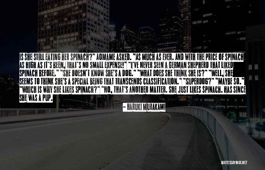 Being A Shepherd Quotes By Haruki Murakami Being A Shepherd Quotes By Haruki Murakami